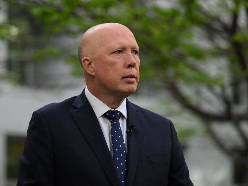 Peter Dutton says the federal budget is a grim one for Australian families and for pensioners. (Mick Tsikas/AAP PHOTOS)