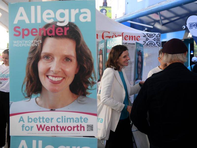 Wentworth MP Allegra Spender received $1.93 million from 661 donors ahead of the federal election. (Dan Himbrechts/AAP PHOTOS)