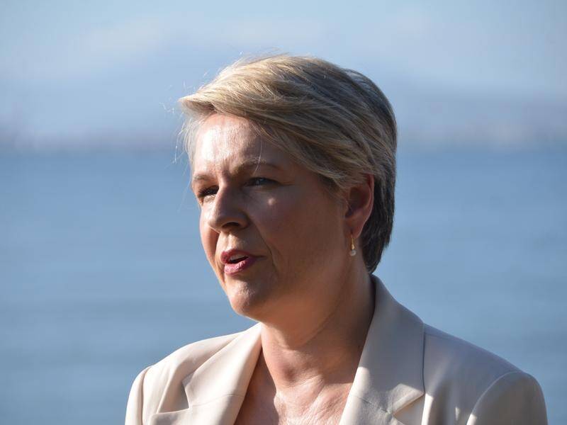 Federal Environment Minister Tanya Plibersek says she has rejected two coal projects in Queensland. (Fraser Barton/AAP PHOTOS)
