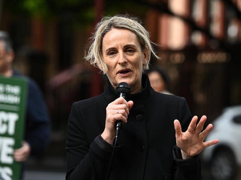 NSW Greens MP Sue Higginson hailed a decision to stop the expansion of Glencore's Glendell mine. (Dan Himbrechts/AAP PHOTOS)