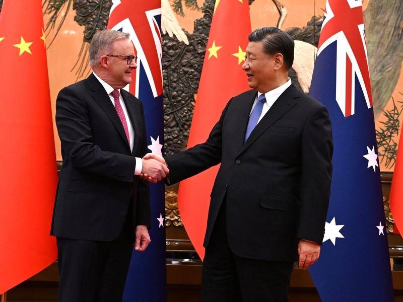 China's President Xi Jinping says Australia and China have a healthy, stable relationship. (Lukas Coch/AAP PHOTOS)