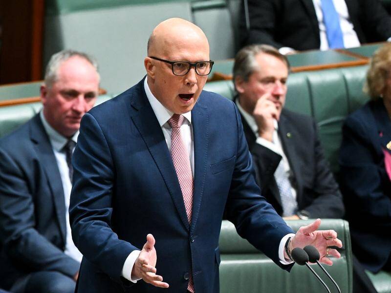 Opposition Leader Peter Dutton argues insufficient detail is known about the Indigenous voice. (Lukas Coch/AAP PHOTOS)