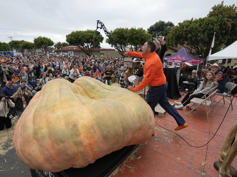 Travis Gienger of Minnesota has grown the world's biggest gourd, at 1247kg. (AP PHOTO)