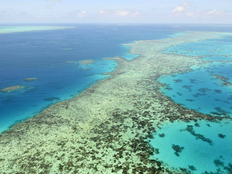 UNESCO has recommended the Great Barrier Reef should be listed as a World Heritage site 'in danger'.
