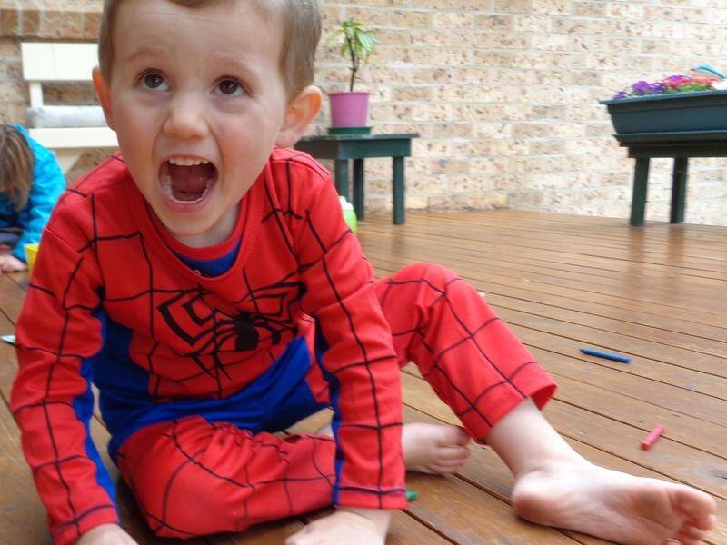 Three-year old William Tyrrell went missing from his foster grandmother's home in Kendall in 2014.