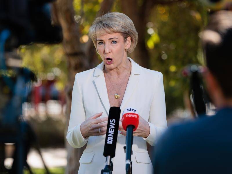 Michaelia Cash says the laws will attract people wanting to experience the ACT's party lifestyle. (Richard Wainwright/AAP PHOTOS)