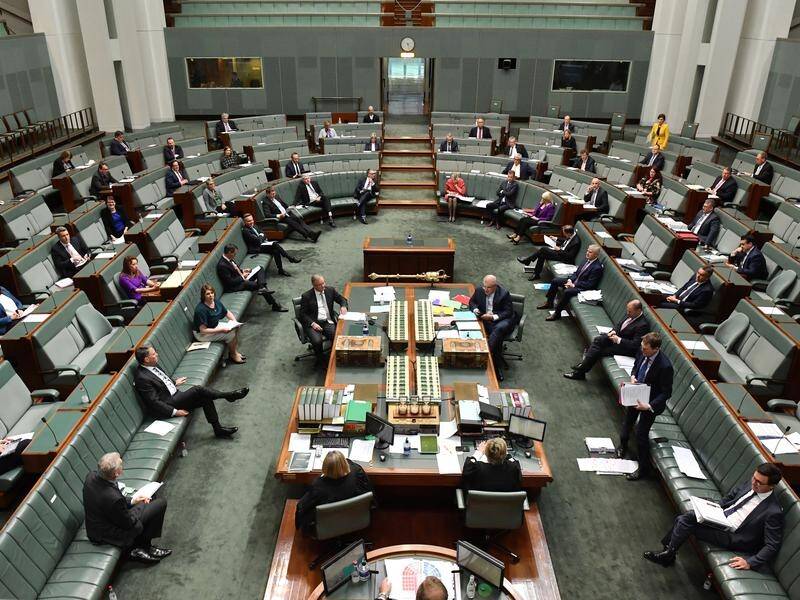 fuldstændig stykke Indtil nu Question time in federal parliament | The Canberra Times | Canberra, ACT