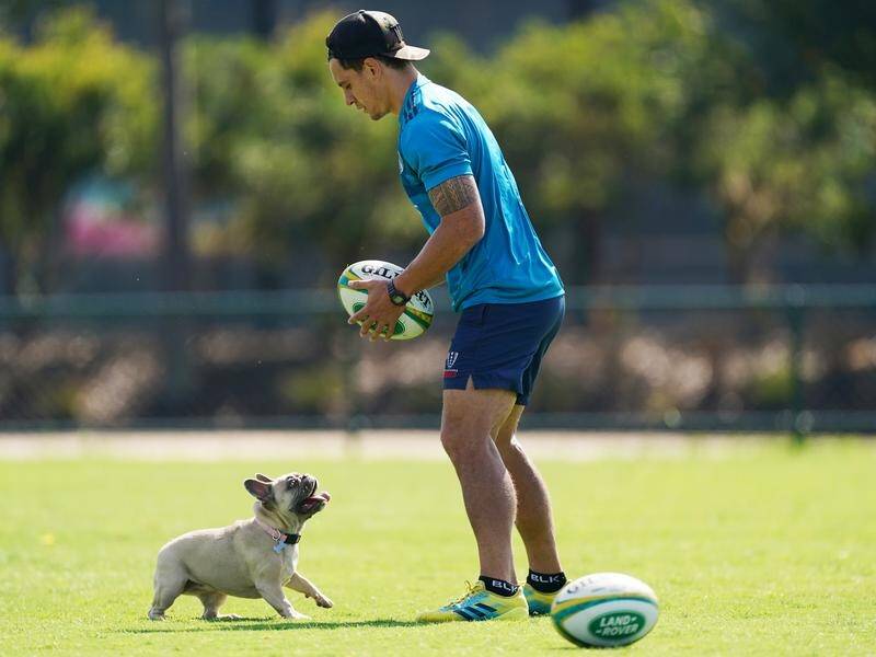 Wallabies playmaker Matt Toomua training with his dog during Super Rugby's period of isolation.