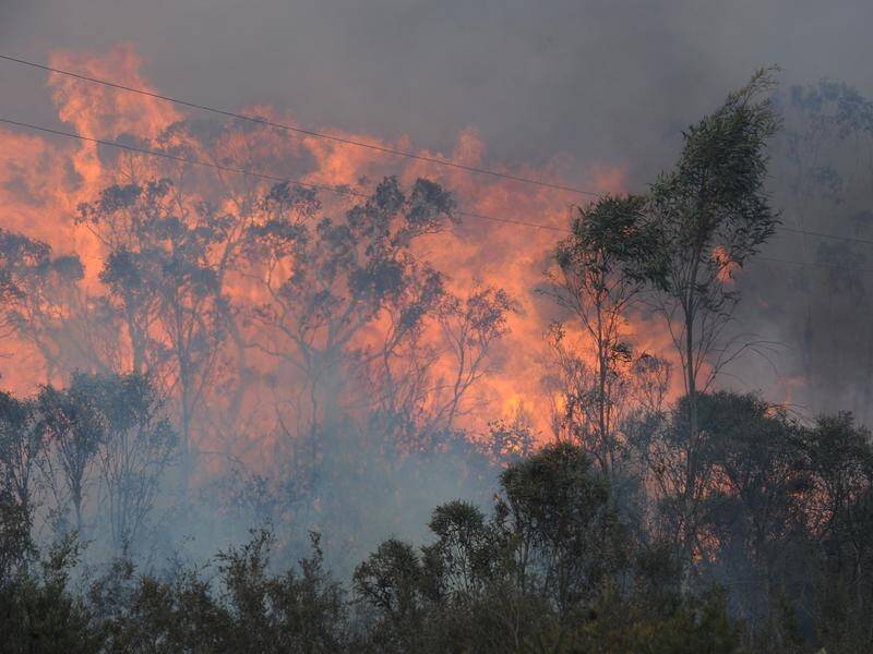 Australia's fire risk has gone beyond worst-case scenarios developed just a few years ago.