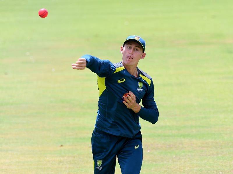 Marcus Labuschagne scored a 50-ball ton in Australia's second intra-squad T20 match.