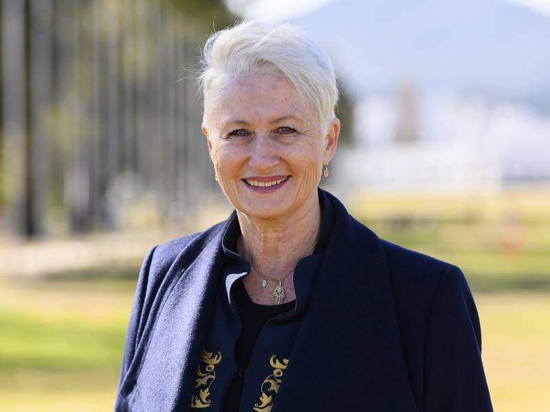 Former MP Kerryn Phelps says political decisions should be made on evidence and without doing deals.