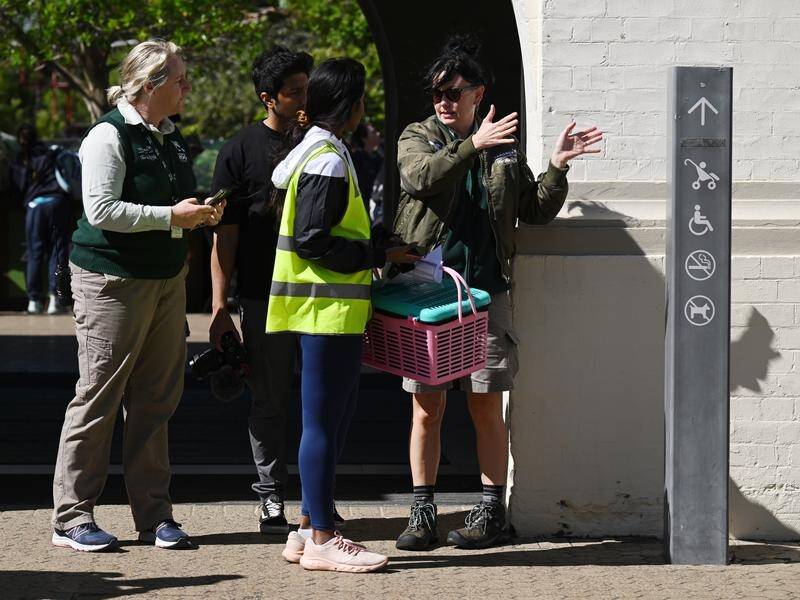 Staff were ushered to safe zones following the escape of five lions at Taronga Zoo. (Dean Lewins/AAP PHOTOS)