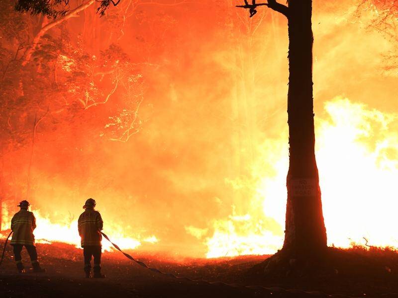 Bushfires in NSW destroy more than 2.7 million hectares, an area almost twice the size of Sydney.