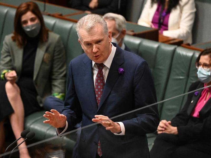 Employment Minister Tony Burke introduces a proposal to legislate for domestic violence leave. (Mick Tsikas/AAP PHOTOS)