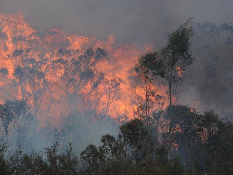 The public and scientists are teaming up to understand the causes of the recent bushfires.