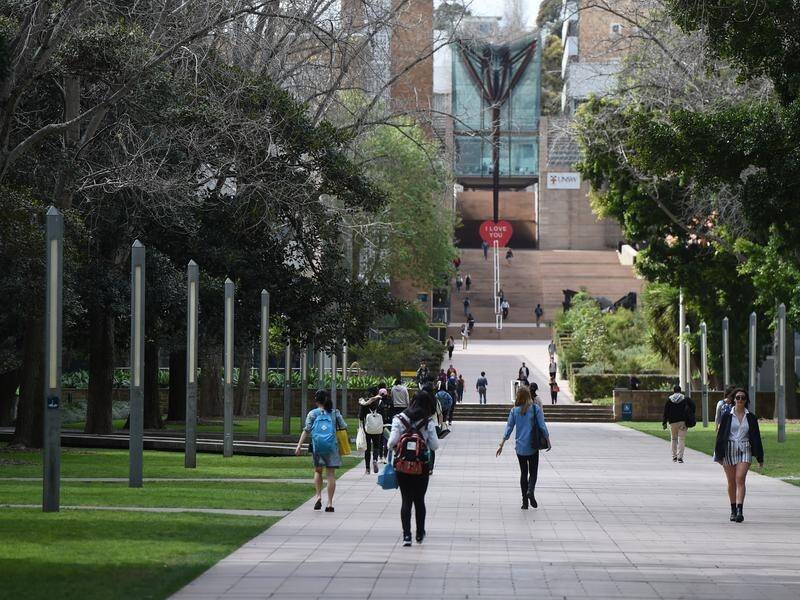 Australia's higher education sector has lost nearly 40,000 jobs, since the start of the pandemic.