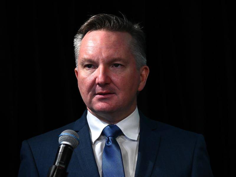 Chris Bowen says the COP31 climate change conference is the world's biggest trade fair. (Dan Himbrechts/AAP PHOTOS)