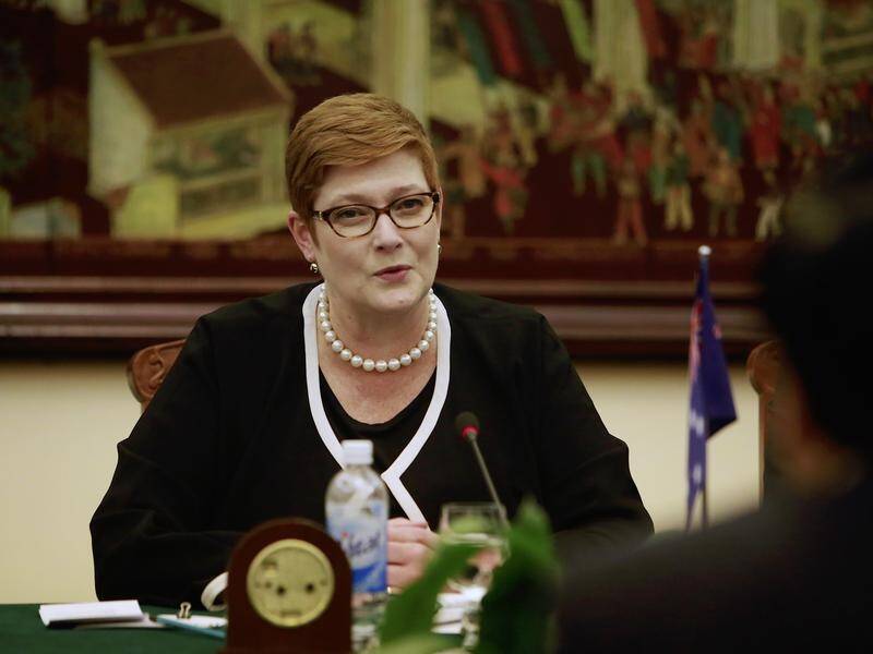 Marise Payne has warned foreign diplomats to not interfere in the exercise of free speech.