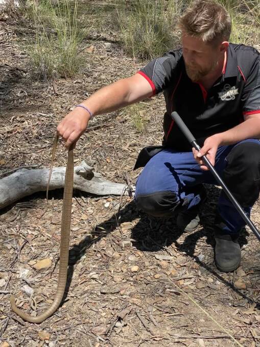 Gavin Smith with an eastern brown snake. Picture: Supplied