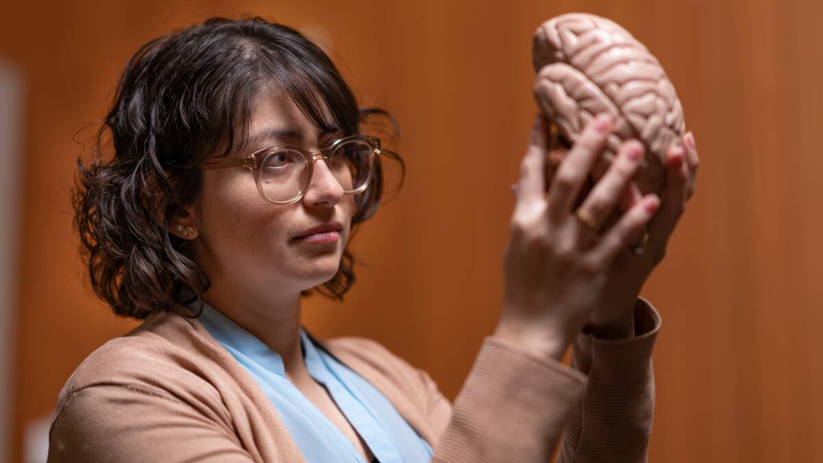 Researcher Daniela Espinoza Oyarce inspects a model of the human brain at the ANU Research School of Population Health. Picture: Australian National University