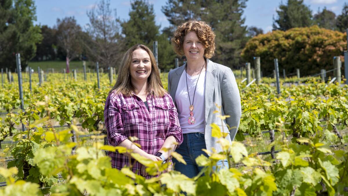 Stephanie Helm of Vintner's Daughter and Sarah Collingwood of Four Winds. Picture by Keegan Carroll