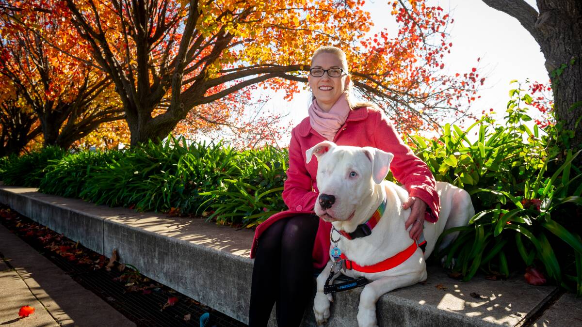 Norman, the blind and deaf dog, with Michelle Coffill who is recognised in the Queen's Birthday Honours. Picture: Elesa Kurtz