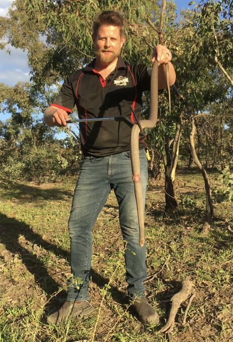 Gavin Smith with an injured eastern brown snake. Picture: Supplied