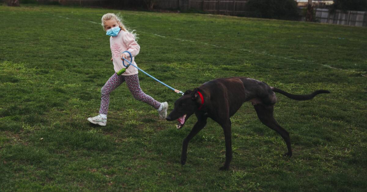 Josie Tozer and her three-legged greyhound Woody. Picture: Dion Georgopoulos