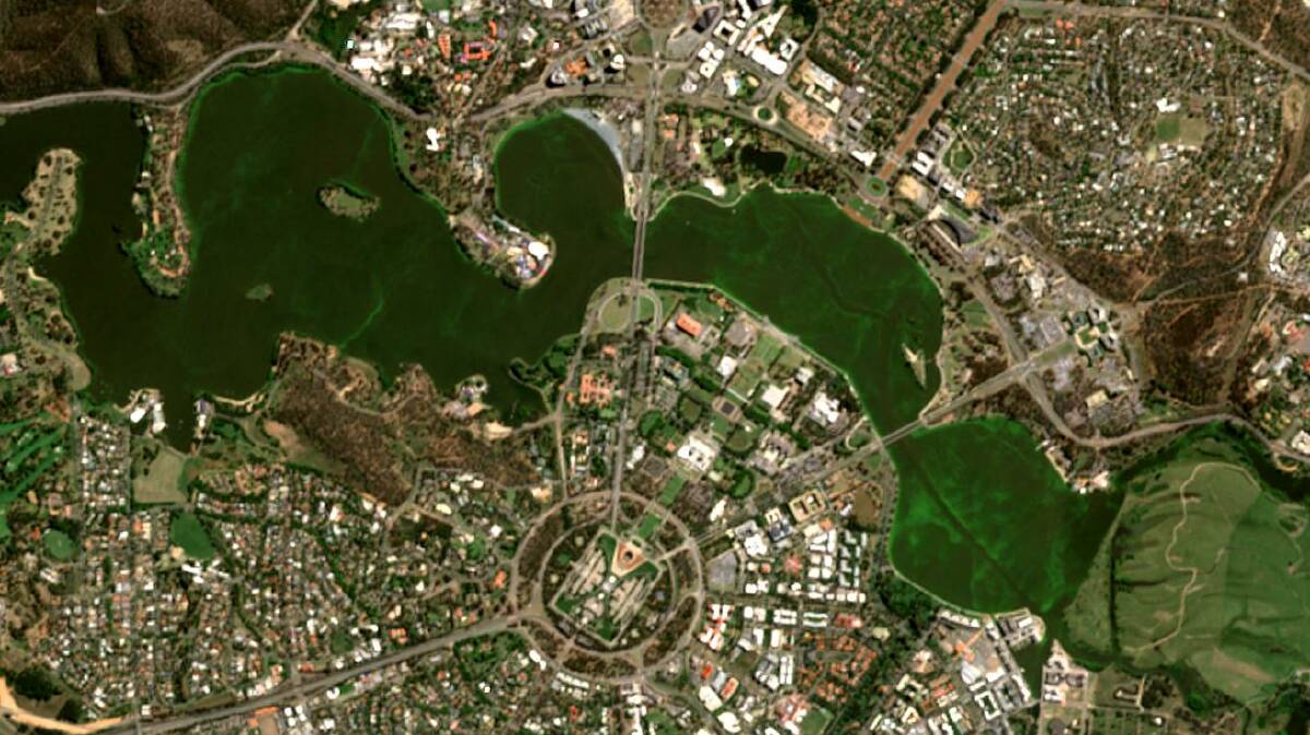  Blue-green algae in Lake Burley Griffin has been seen from the European Space Agency's Copernicus Senteinel-2 satellite. Picture: Supplied