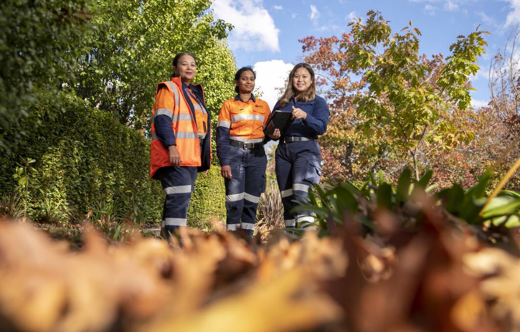 From left - The ACT government tree team's Isabel Chua, Dijitha Mani and Rowena Padilla. Picture: Keegan Carroll