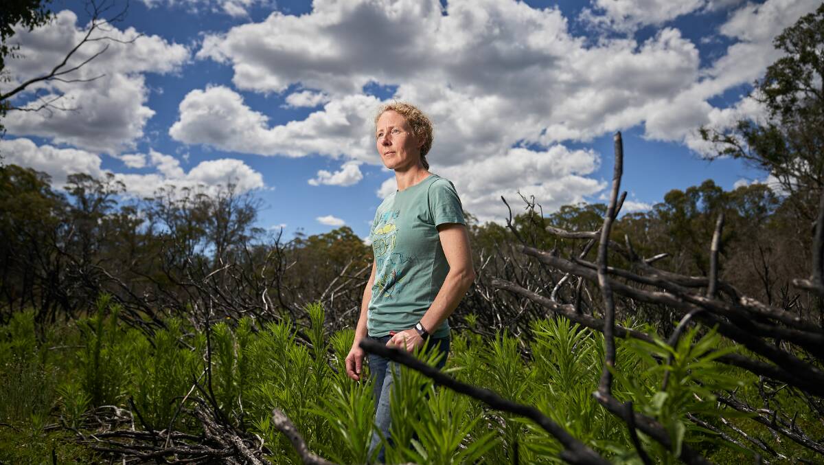 Dr Karen Ford at home in Forbes Creek where the greenery is returning. Picture: Matt Loxton