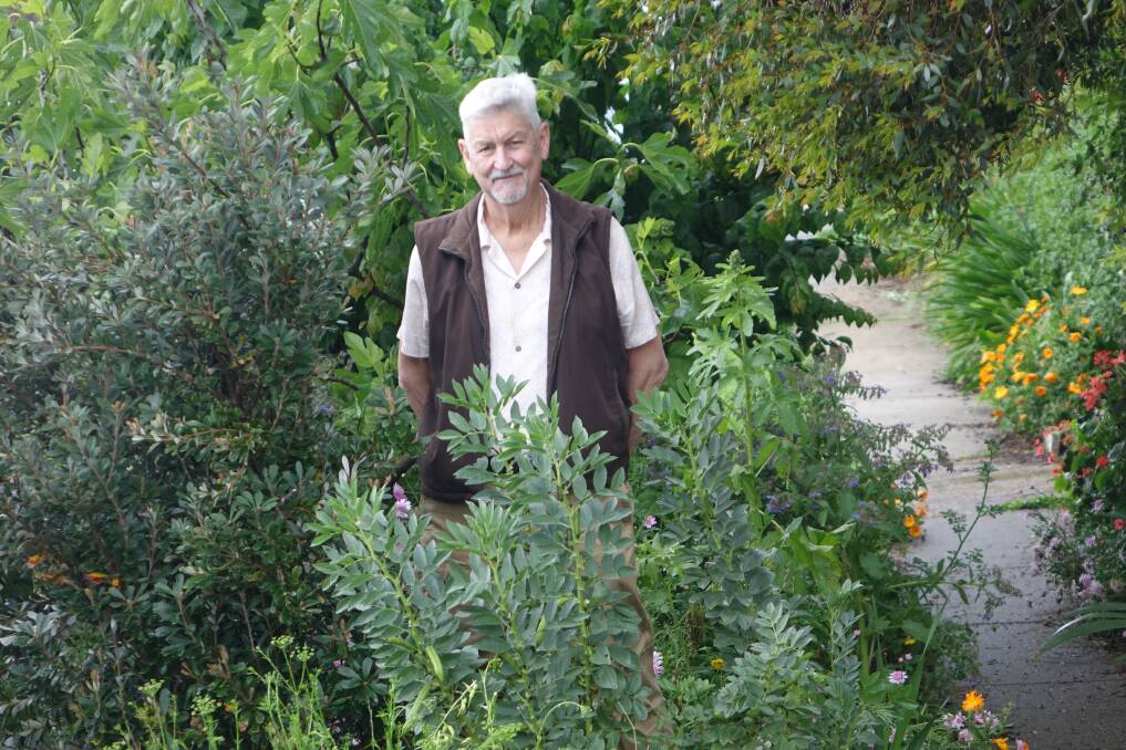 Gerry Gillespie among the figs, zucchini, strawberries, daikon radishes, broad beans, parsley, thyme, coriander, African daisy, Japanese yellow plum and winter oats. Picture: Steve Evans