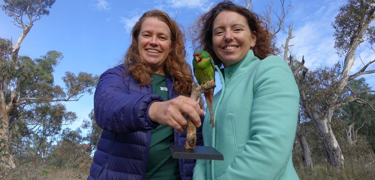 Dr Debra Saunders (left) and Rebecca Vassarotti with a deceased parrot. Picture: Steve Evans