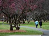 Dry again after the rains. Walkers were out near Lake Burley Griffin on Saturday. Picture: Elesa Kurtz