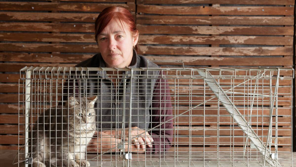 Sharyn Howell and the stray she trapped to take to the RSPCA. Its fate is not known. Picture by Sitthixay Ditthavong