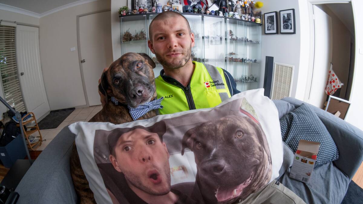 Alex Shaughnessy says his staffy Tiger has helped anchor him after coming from overseas. Picture: Sitthixay Ditthavong