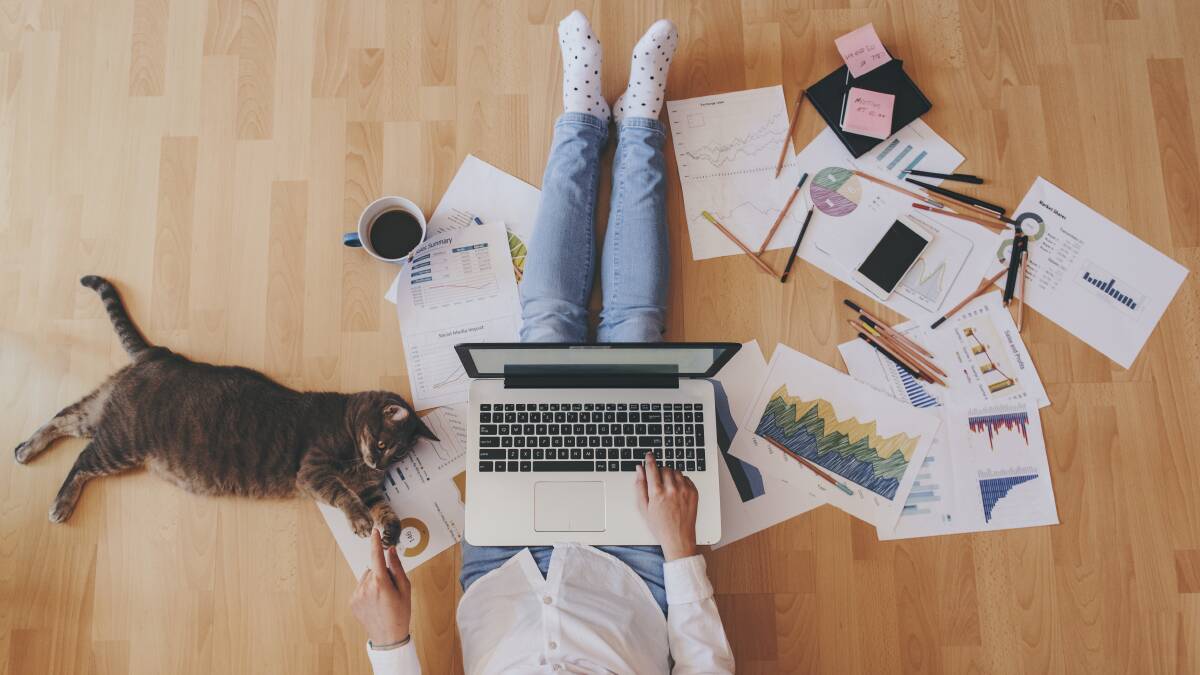 Working from home certainly has its perks when done right - and not just for employees or employers, for that matter. Picture: Shutterstock