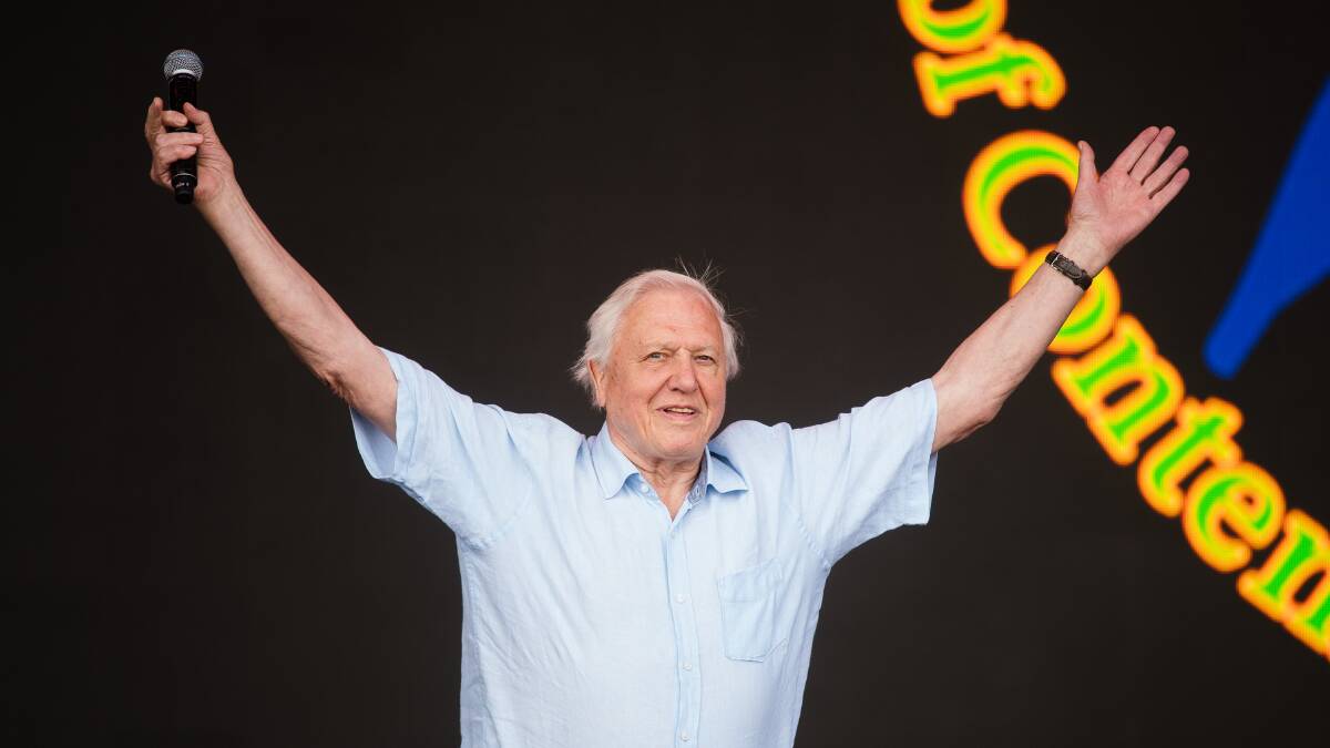 Sir David Attenborough onstage at the Glastonbury Festival in June. Picture: Getty Images