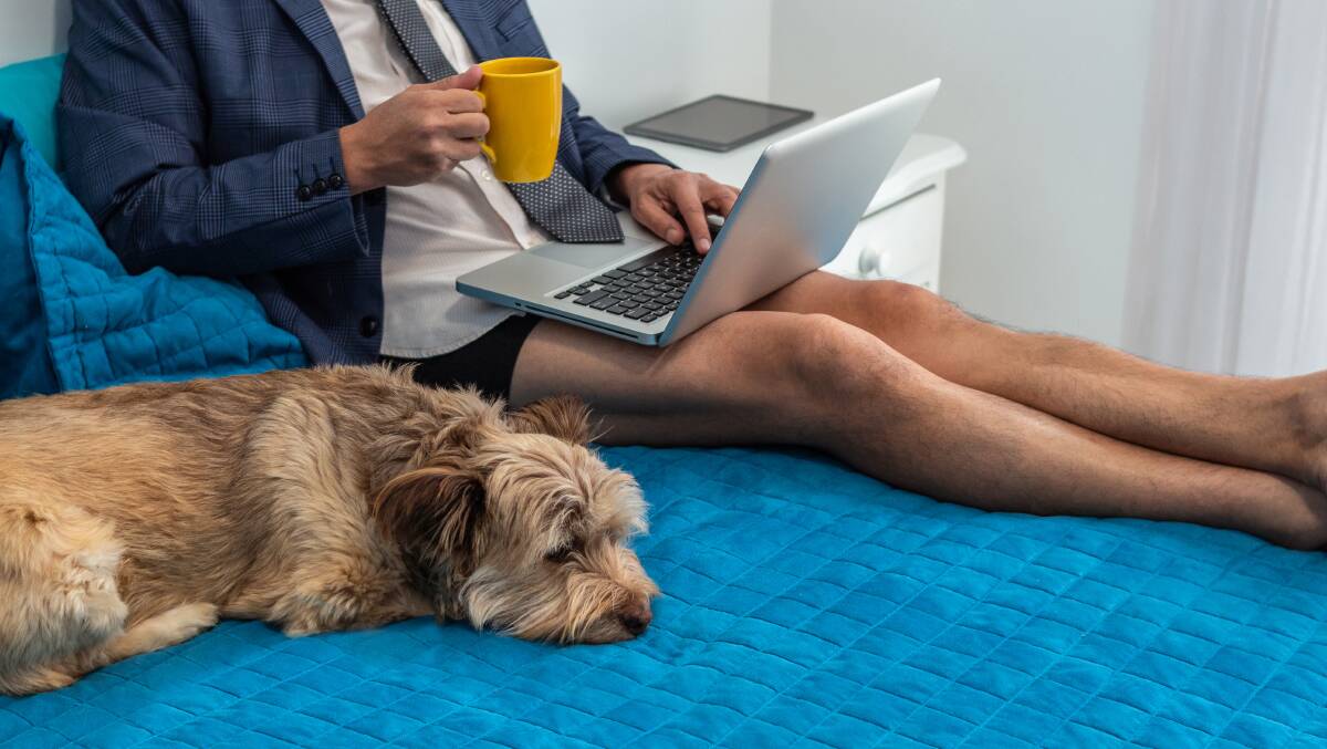 Most APS staff have found the shift to working from home advantageous, a new report says. Picture: Shutterstock