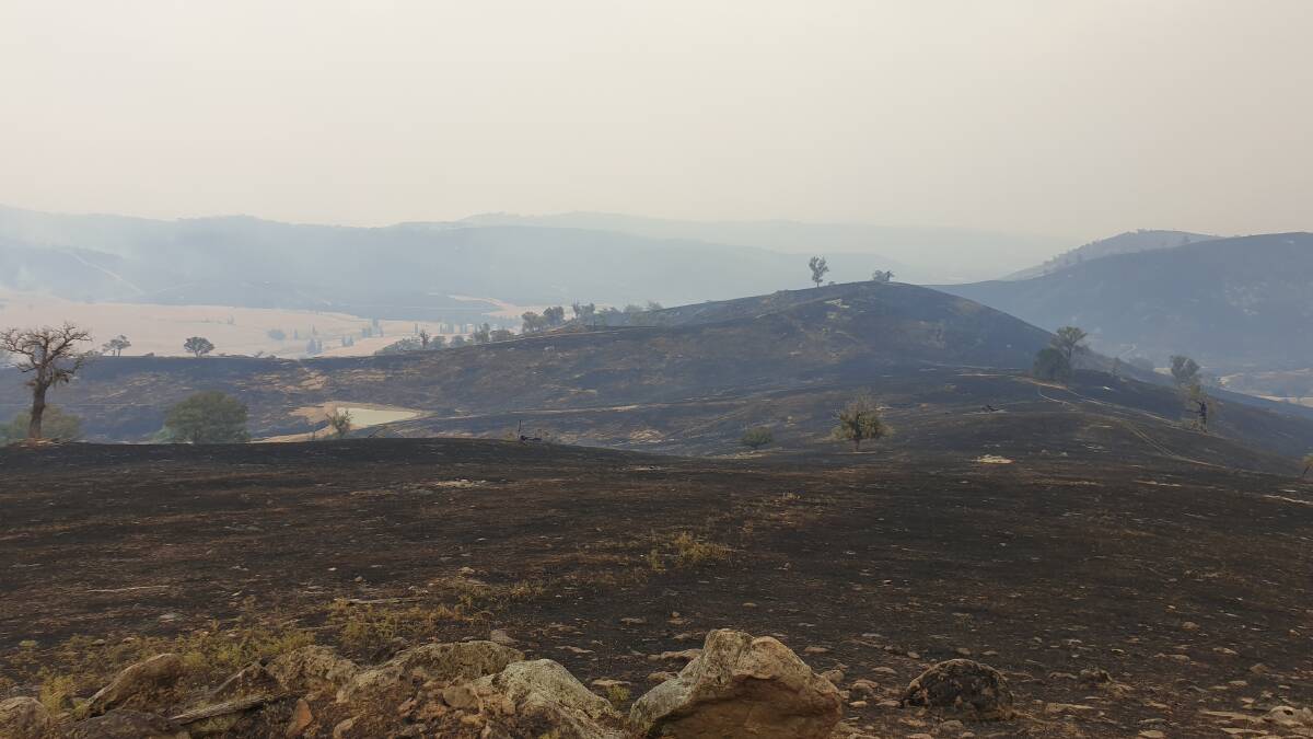 My property at Adelong, just after the bushfires. Picture: Jess Campbell