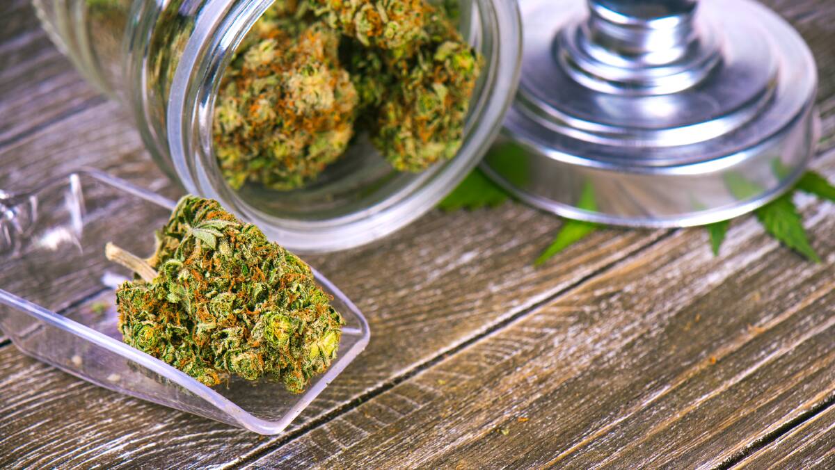 A taxed and regulated cannabis sector is a win for government, entrepreneurs and community health. Picture: Shutterstock
