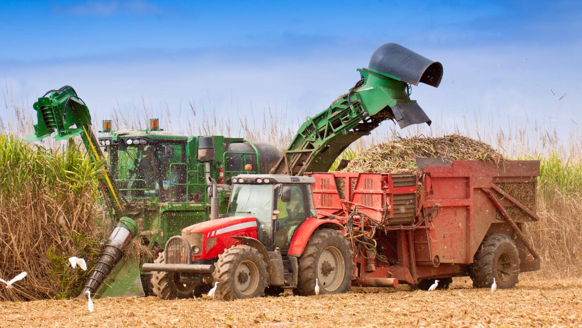 As commodity producers, farmers are constantly striving to produce more for less. Picture: Shutterstock