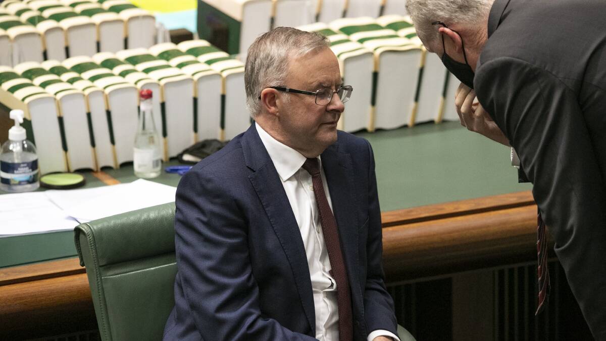 Opposition Leader Anthony Albanese confers with manager of opposition business Tony Burke. Picture: Keegan Carroll