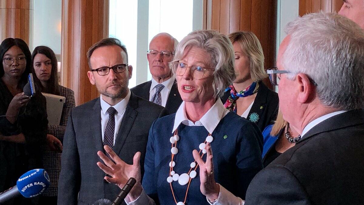 Dr Helen Haines with Greens leader Adam Bandt and the group of crossbenchers behind the call for two Joint Select Committees to oversee Australia's COVID-19 response. Picture: Supplied