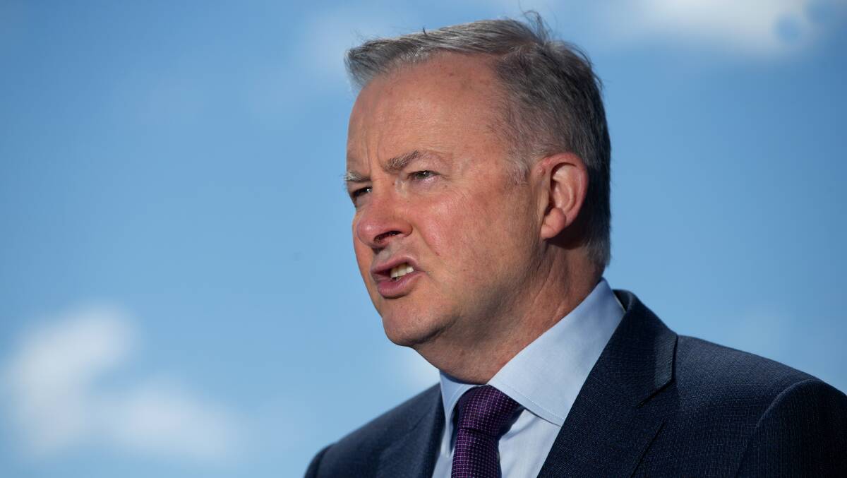 Federal Labor leader Anthony Albanese. Picture: Marina Neil