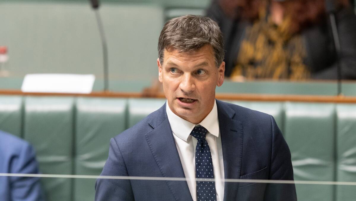 Energy Minister Angus Taylor. Picture: Sitthixay Ditthavong