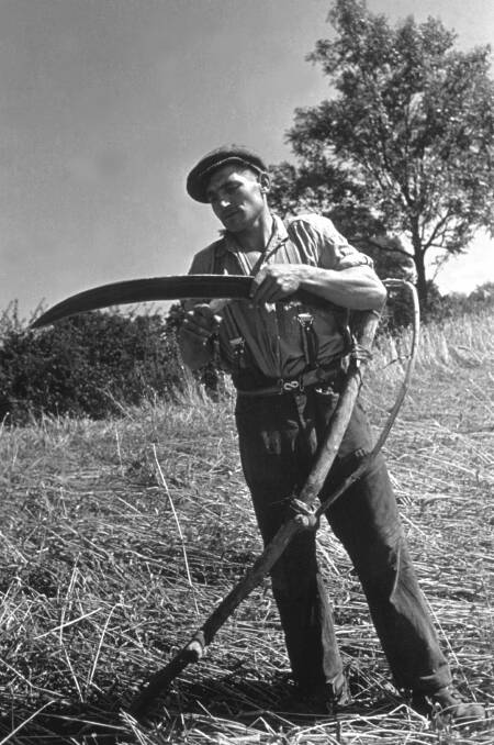 A strategy to "let the virus run its course" could aptly be described as taking a scythe to a large portion of the population. Picture: Getty Images