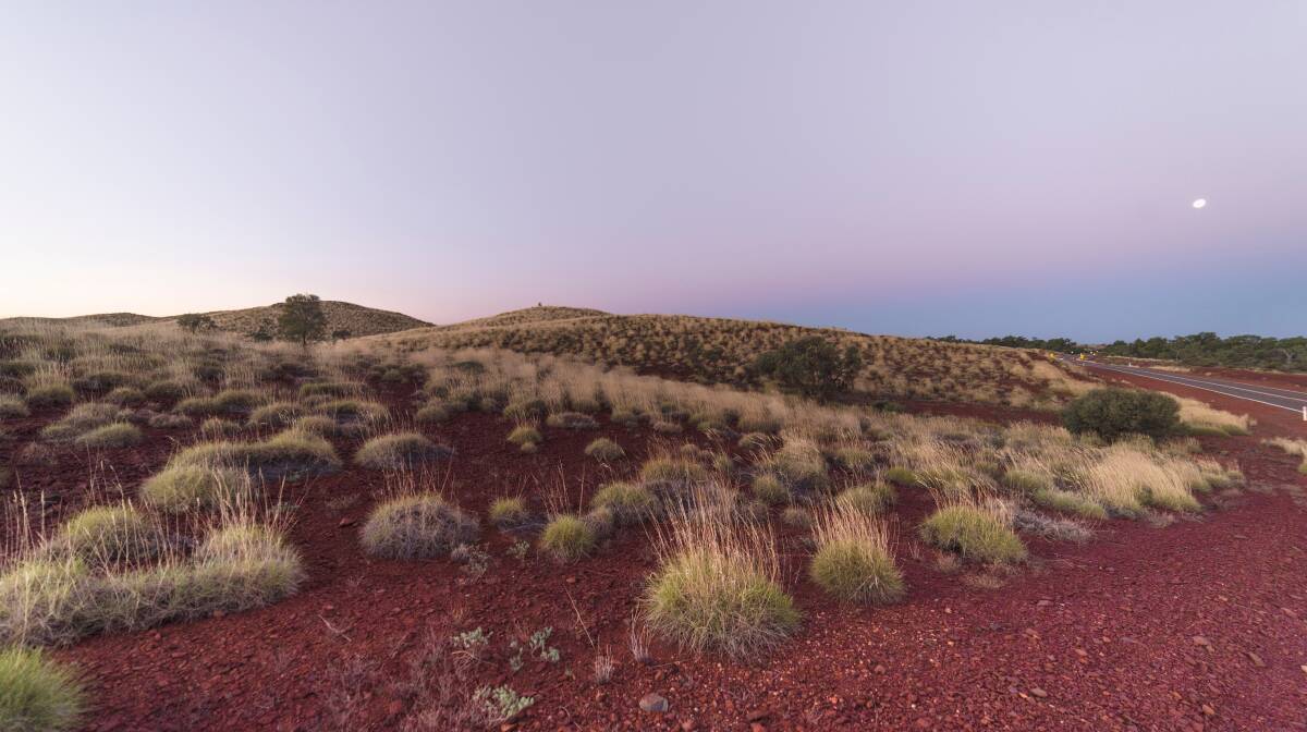 Latex from spinifex grass is a product of pairing Indigenous knowledges with Western science. Picture: Shutterstock