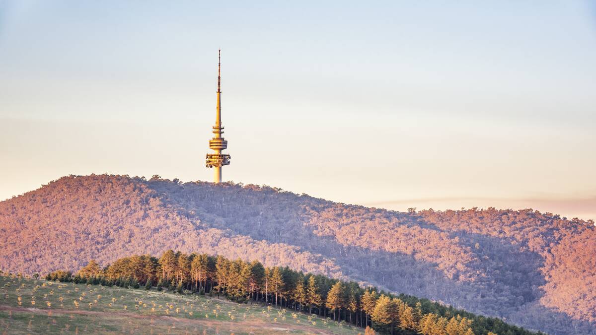 As a Vietnamese-Canberran, or any other -Canberran, how good is this? Picture: Shutterstock