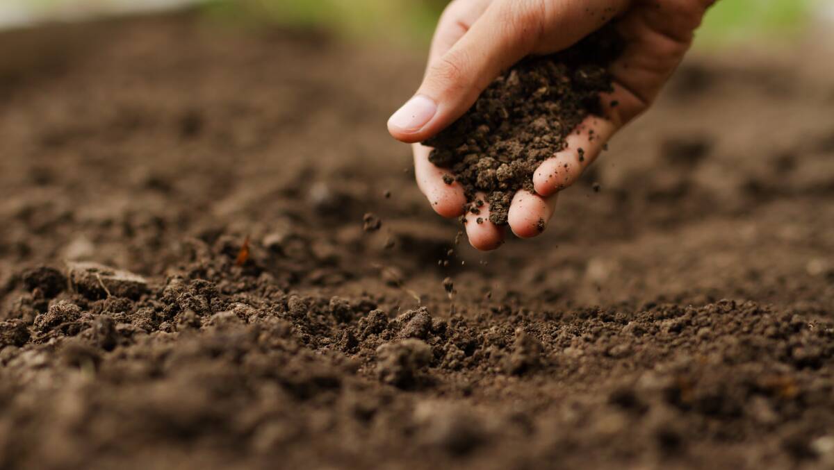 Healthy soil helps reduce atmospheric carbon - but it also improves drought resilience. Picture: Shutterstock